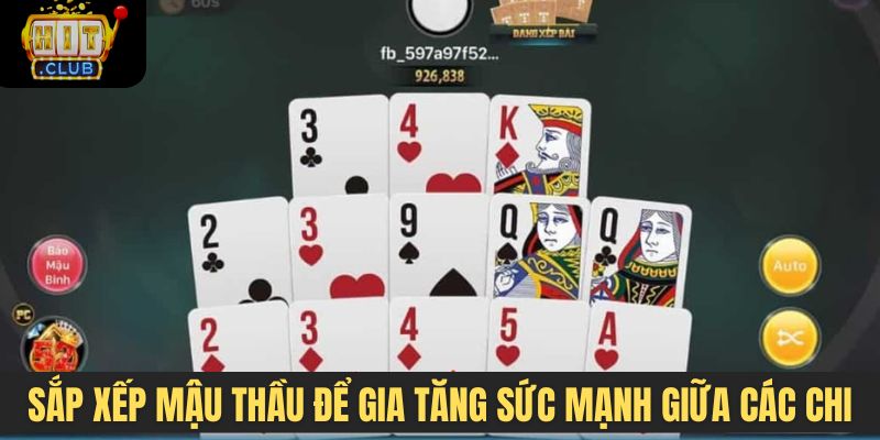 Sắp xếp Mậu Thầu hợp lý để gia tăng sức mạnh giữa các chi